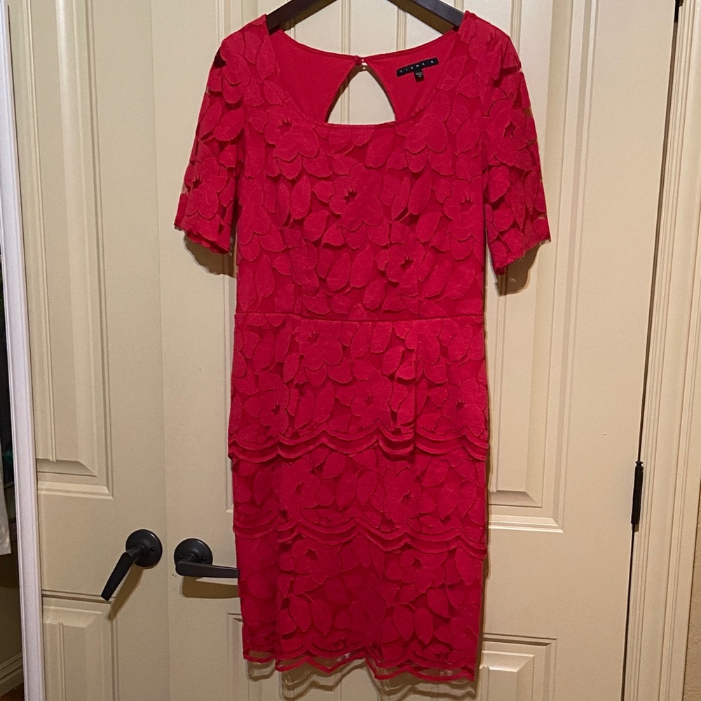 Tiana B. Muted Red Stretch Lace Midi Dress
